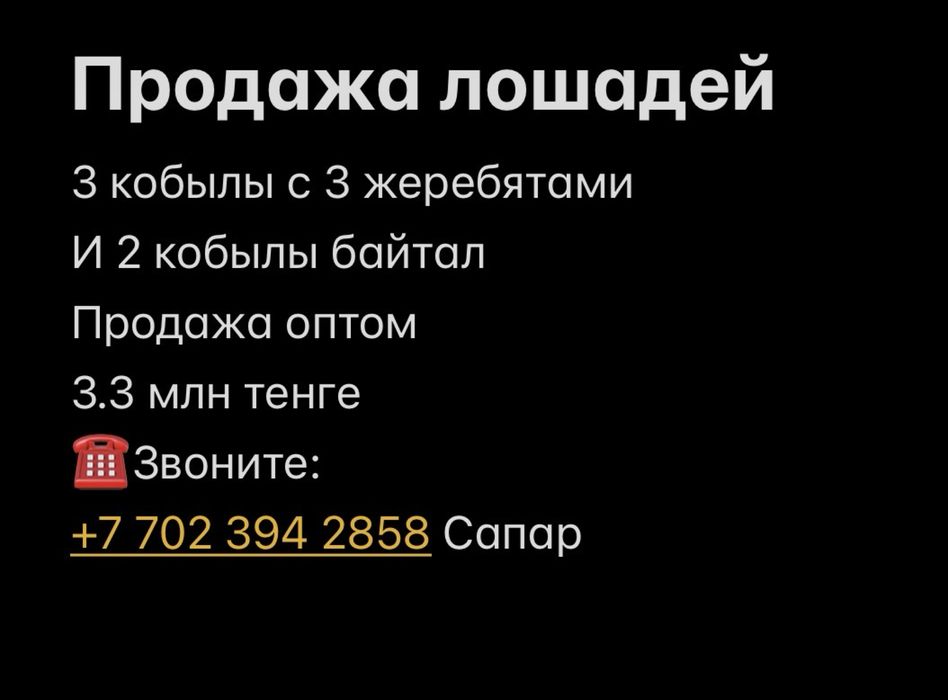 Продажа лошадей оптом