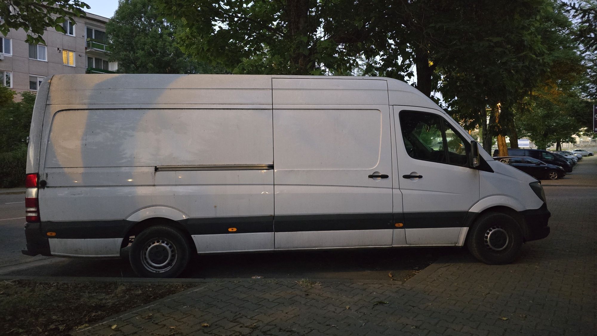 Mercedes Benz sprinter 313