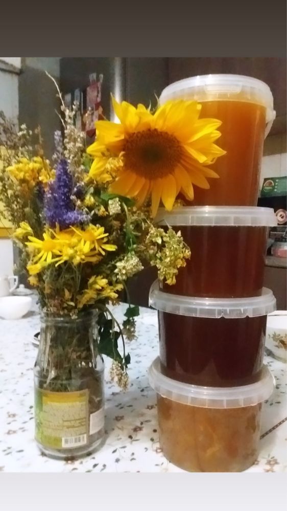 Гречишный мёд со своей пасеки! Оптом 1300 за 1 кг Инст: dom_meda_pvl