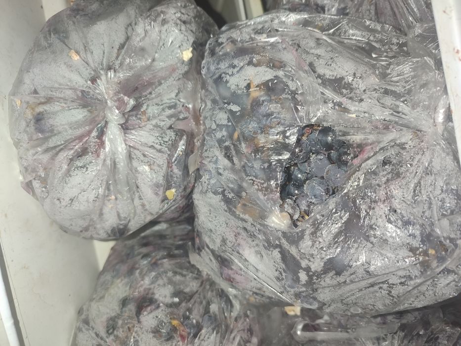 Продам замороженный домашний виноград Изабелла.