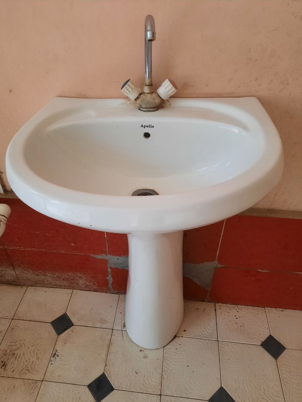 Rakvina Apollo srochno