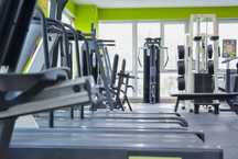 Aparate Sală de Fitness