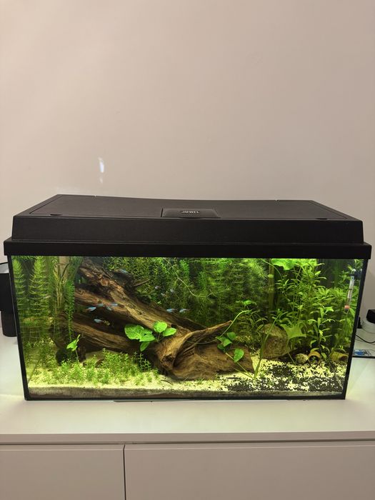 Vand acvariu 130litri complet
