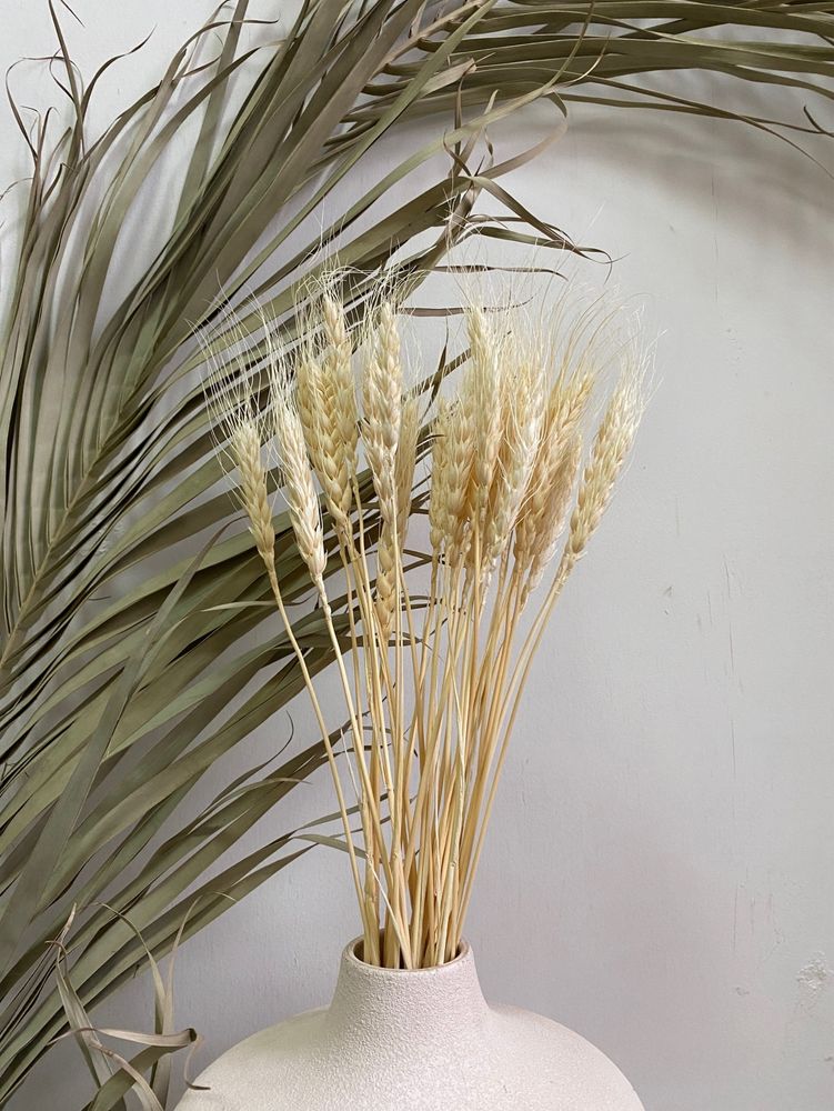 Пшеница сухоцвет декор интерьер