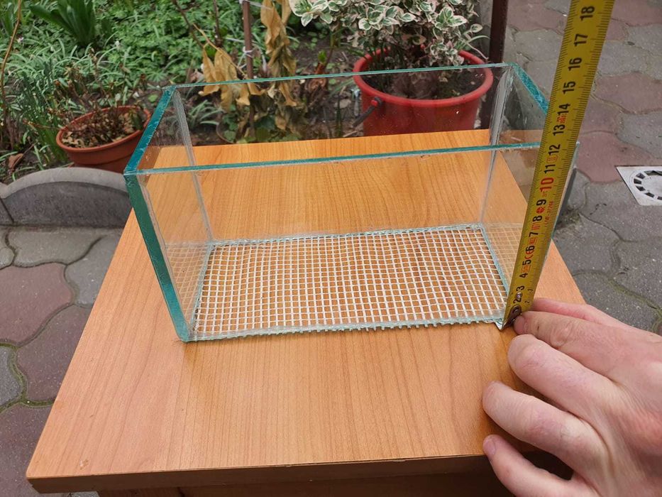 Acvariu mic si maternitate