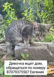 Девочка ищет дом и заботливые руки
