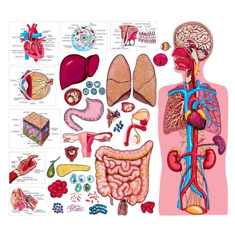Meditații biologie on-line bac