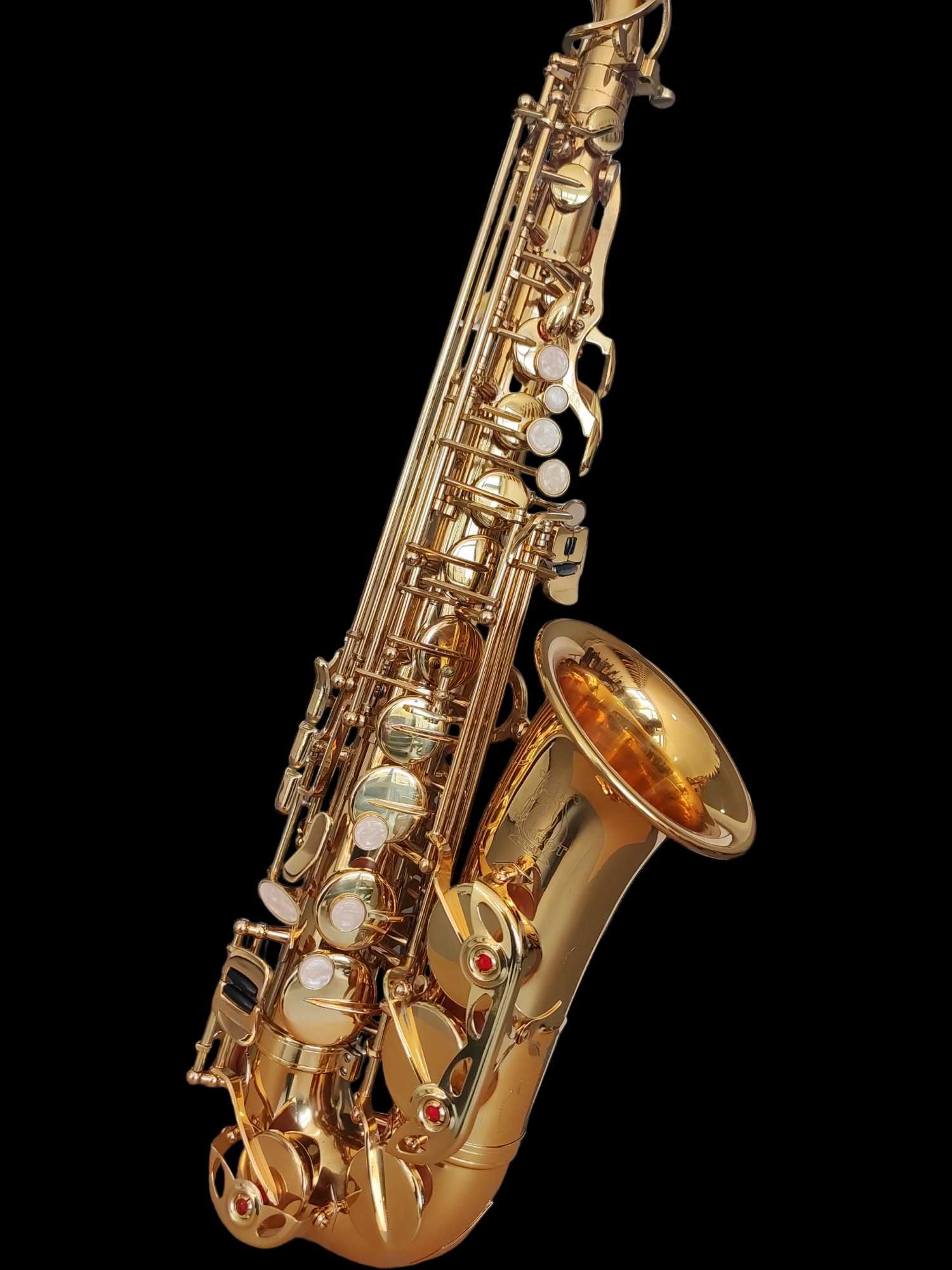 Set Saxofon Alto Parrot ZL118 Auriu