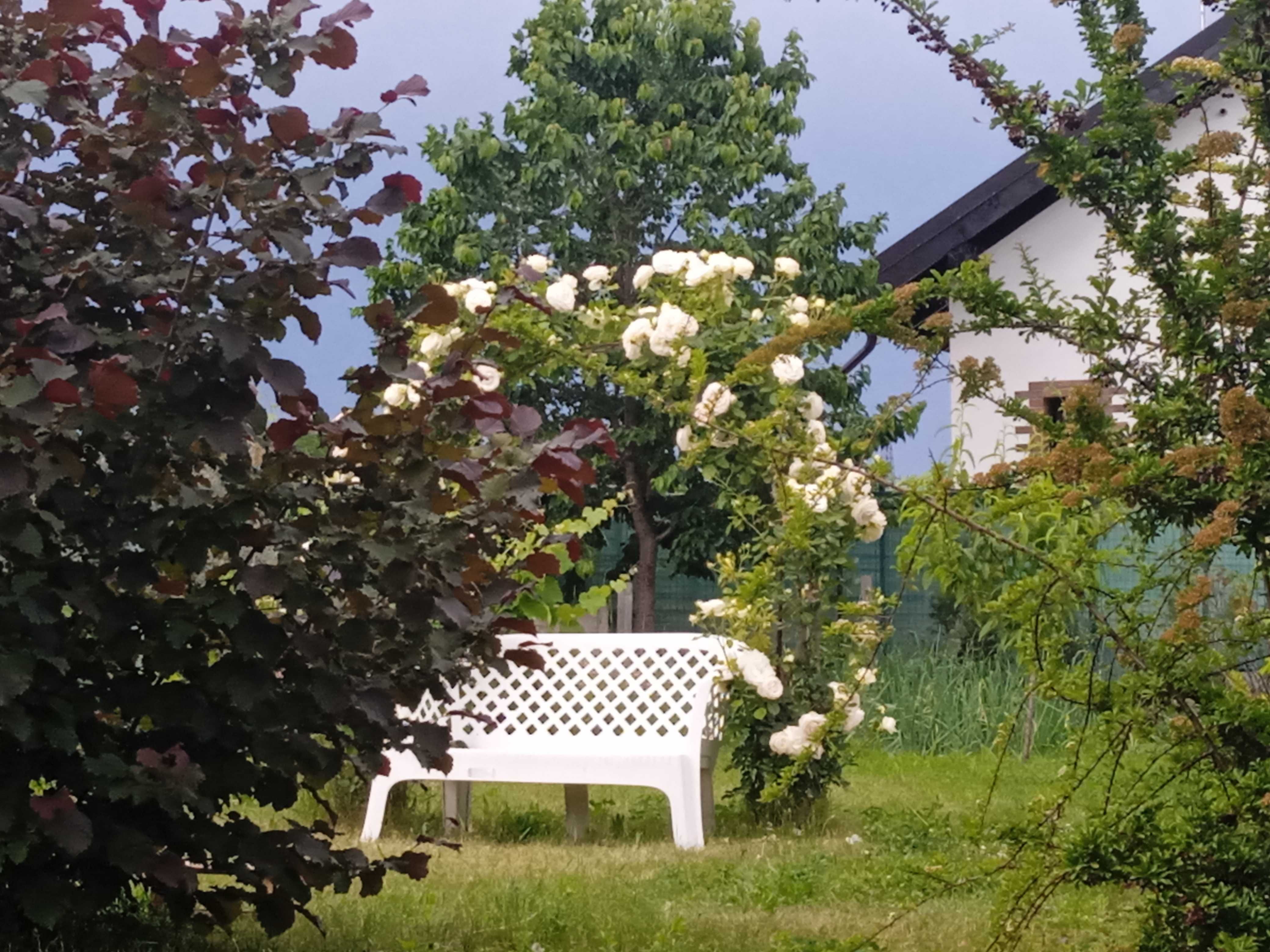 Teren rezidențial in mijlocul naturii Saftica-Ilfov-Bucuresti