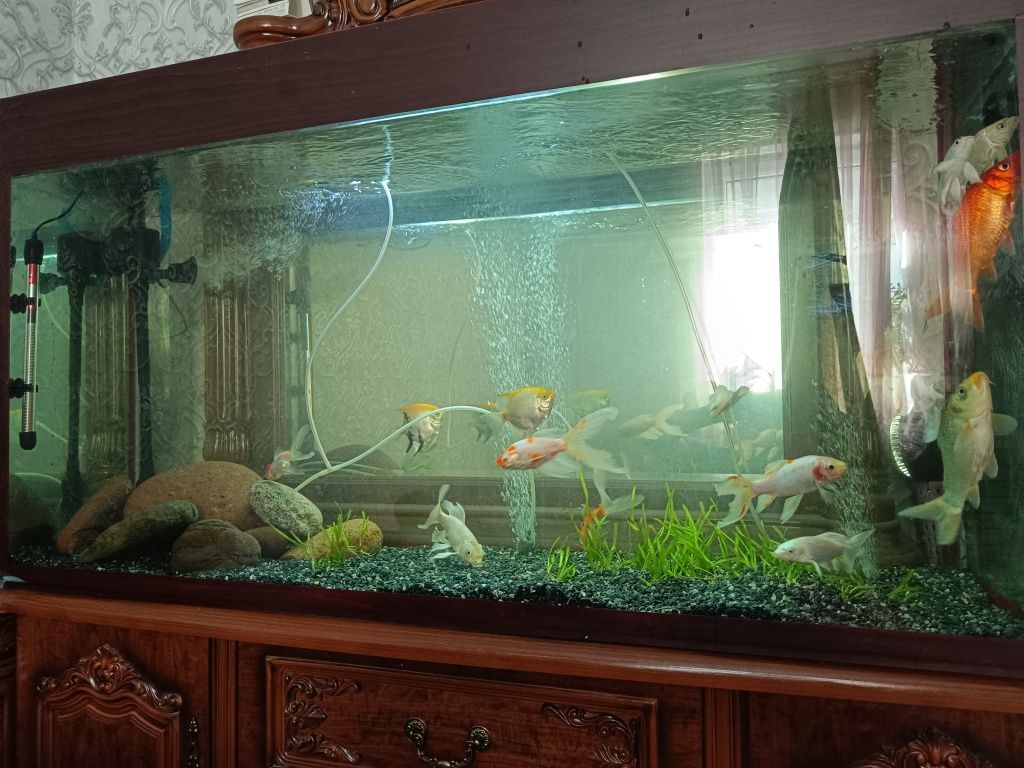 Аквариум 350 л 140х70х40