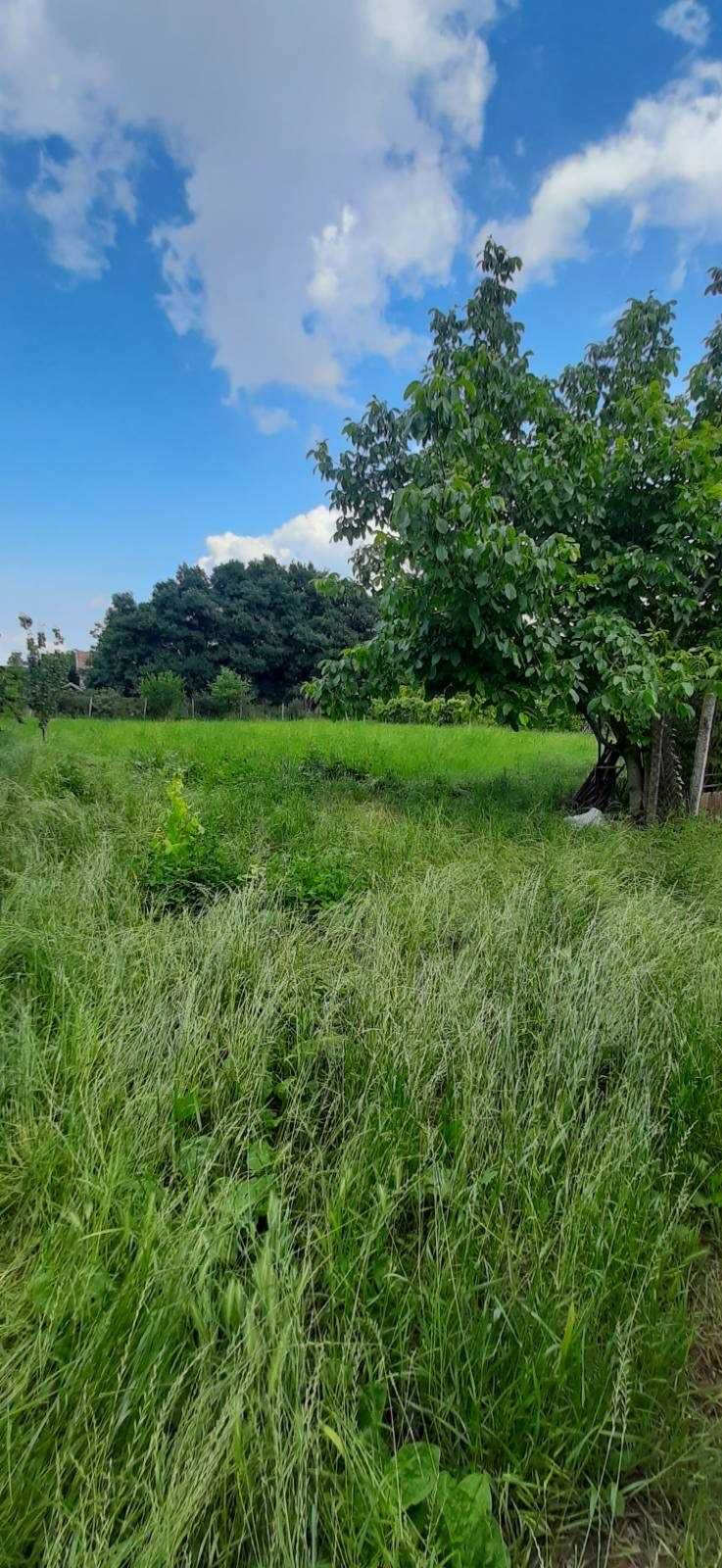 Имот в село МОМИНО с уникална панорама