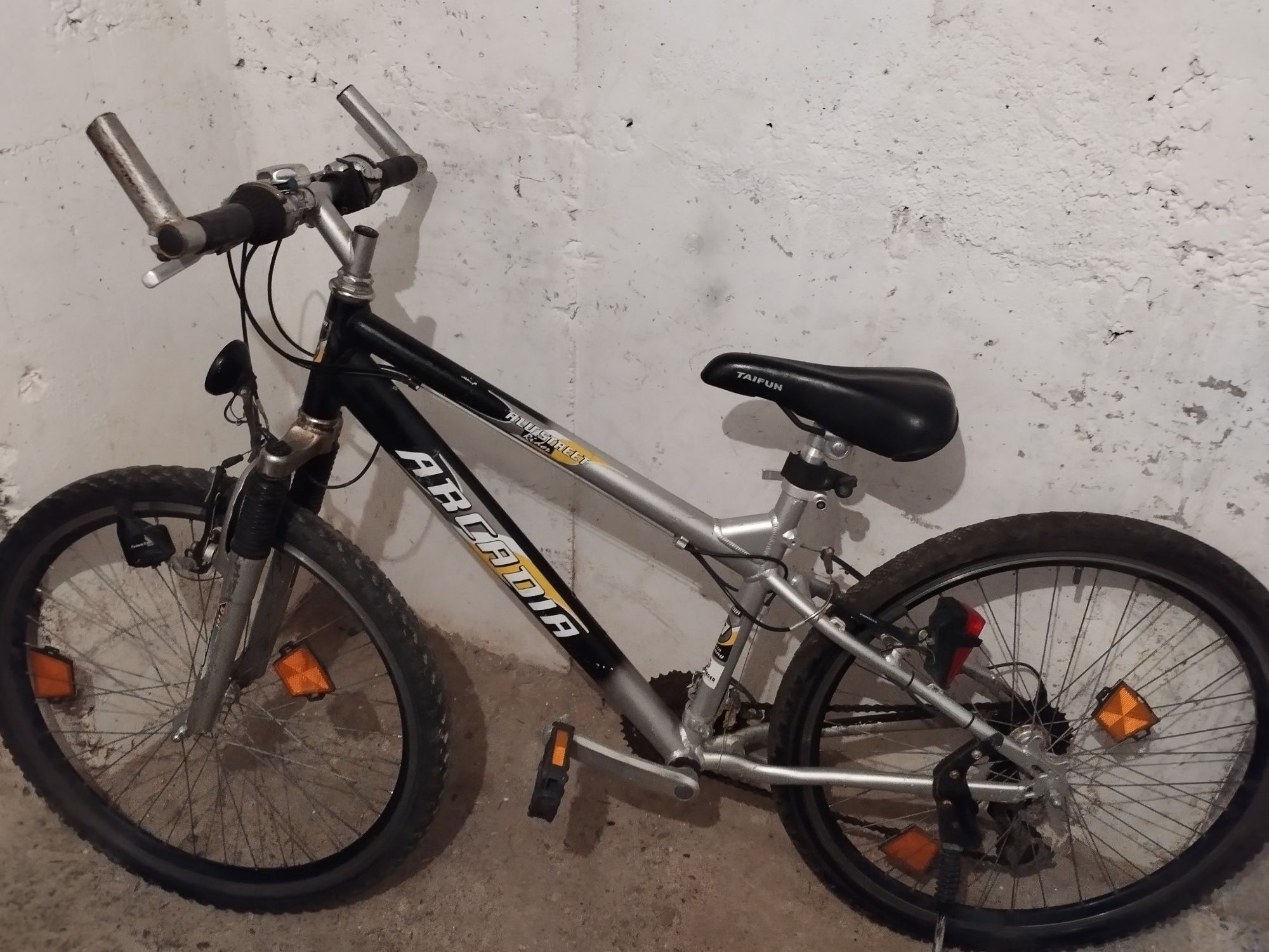 Biciclete MTB 24