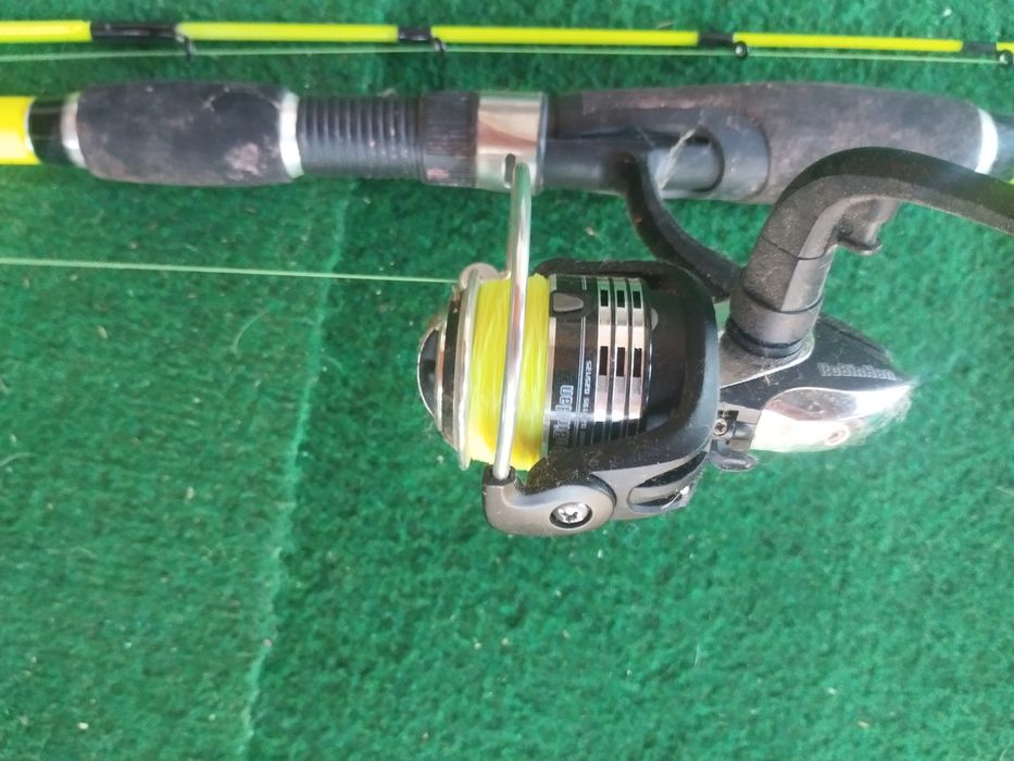 Vând undite urgent!!