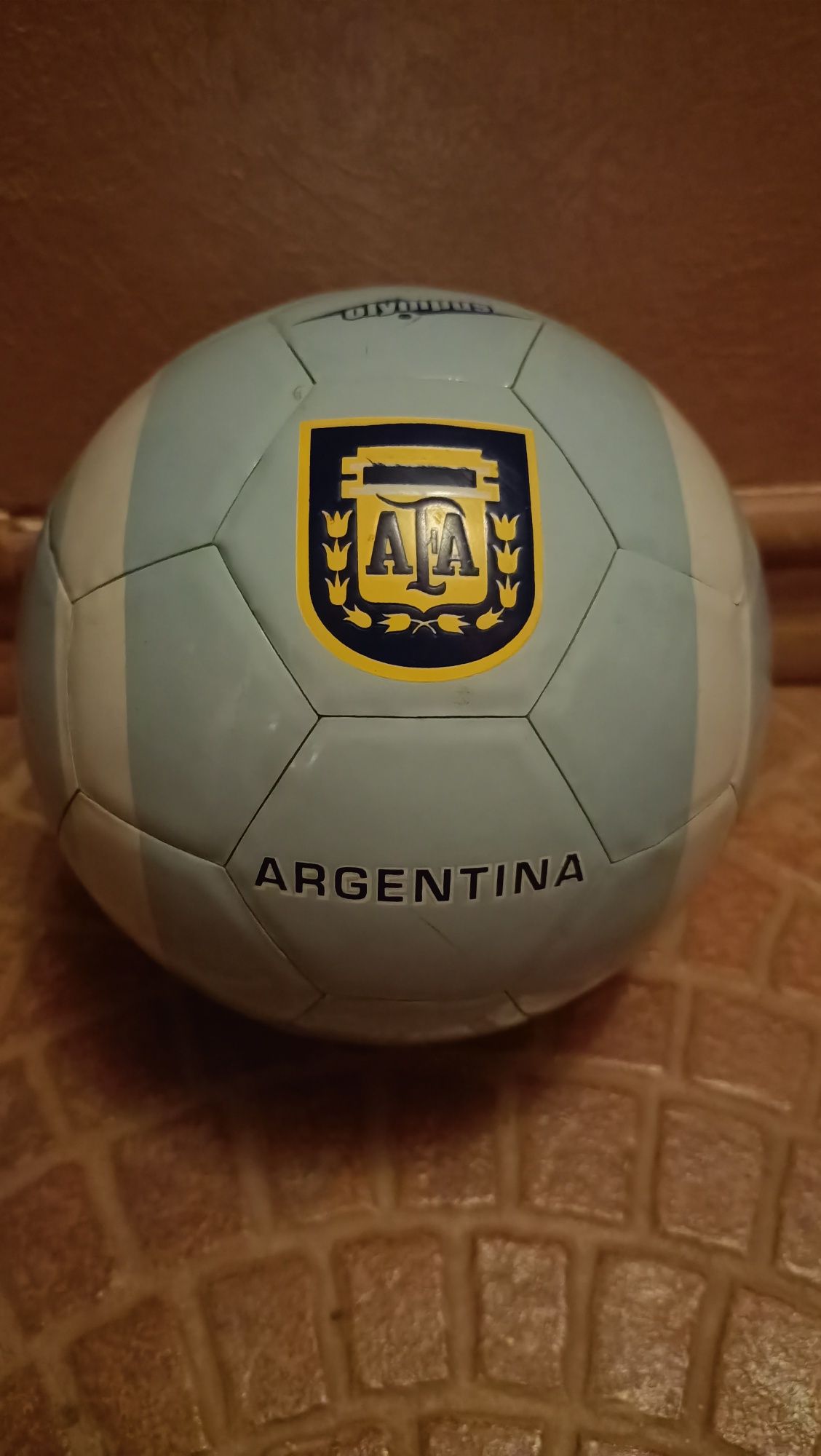 Minge miniatura Argentina, arata foarte bine, campioana mondiala 2022