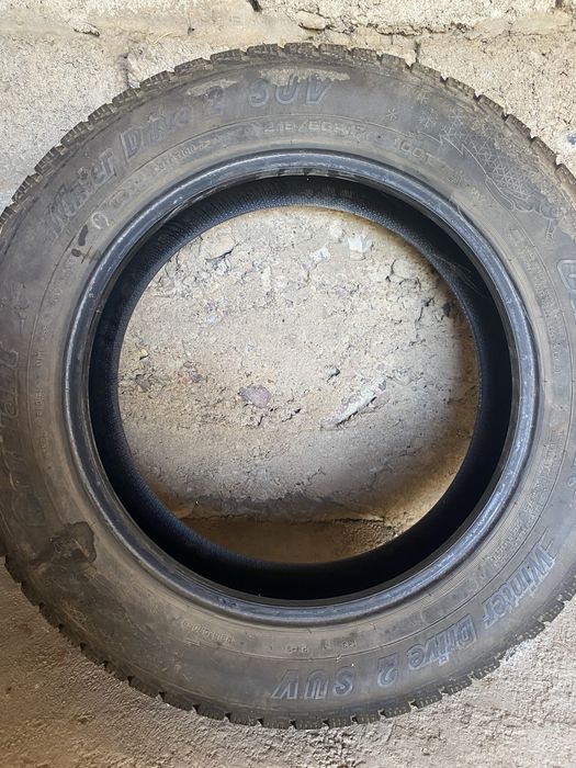 Зимниие шины Gordian