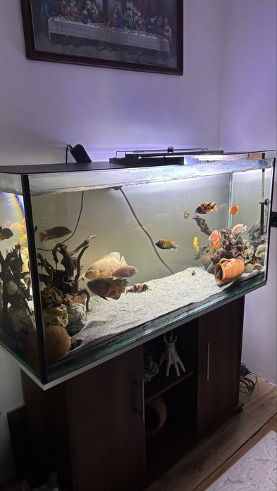 Acvariu nou 340 litri