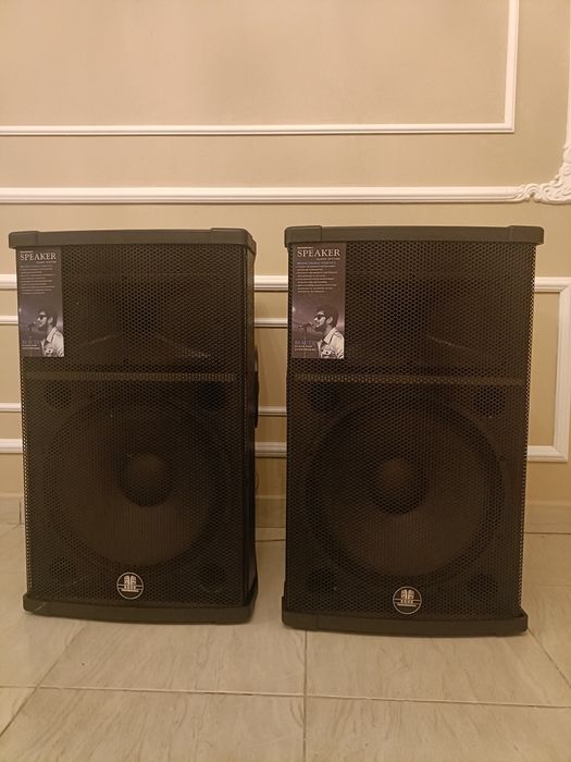 Boxe active Profesionale Eghe/Vlliodor/NRS/JBL 800W bluetooth + 2 mic