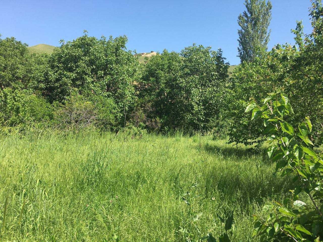 Продажа дом  в доль дороге  по дороге Амирсой