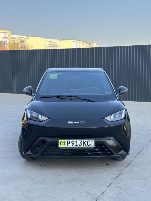 Byd seagull 305 km toza