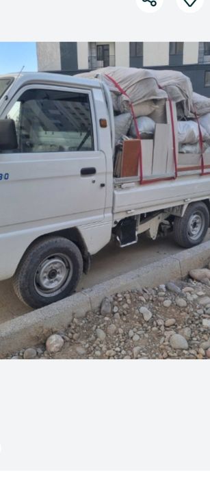 Ситирой Мусир гуручек бор