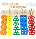 5 xil rangli sorter