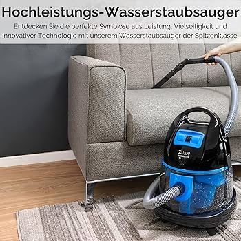 Плесос,Шаң Сорғыш