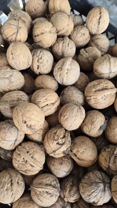 Орехи. Со своего сада.