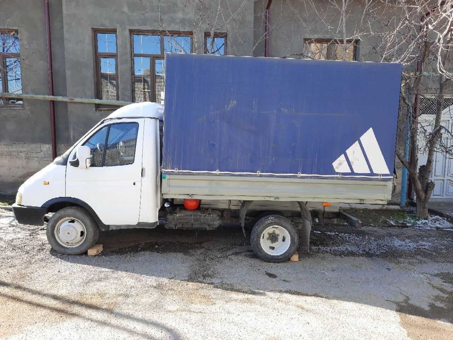 Газель яхши ҳолатда