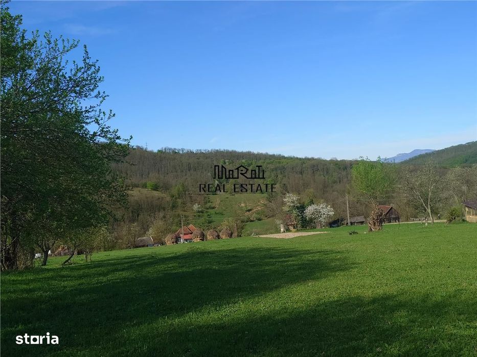 Teren Intravilan  in Luncoiu de Jos, Jd Hunedoara