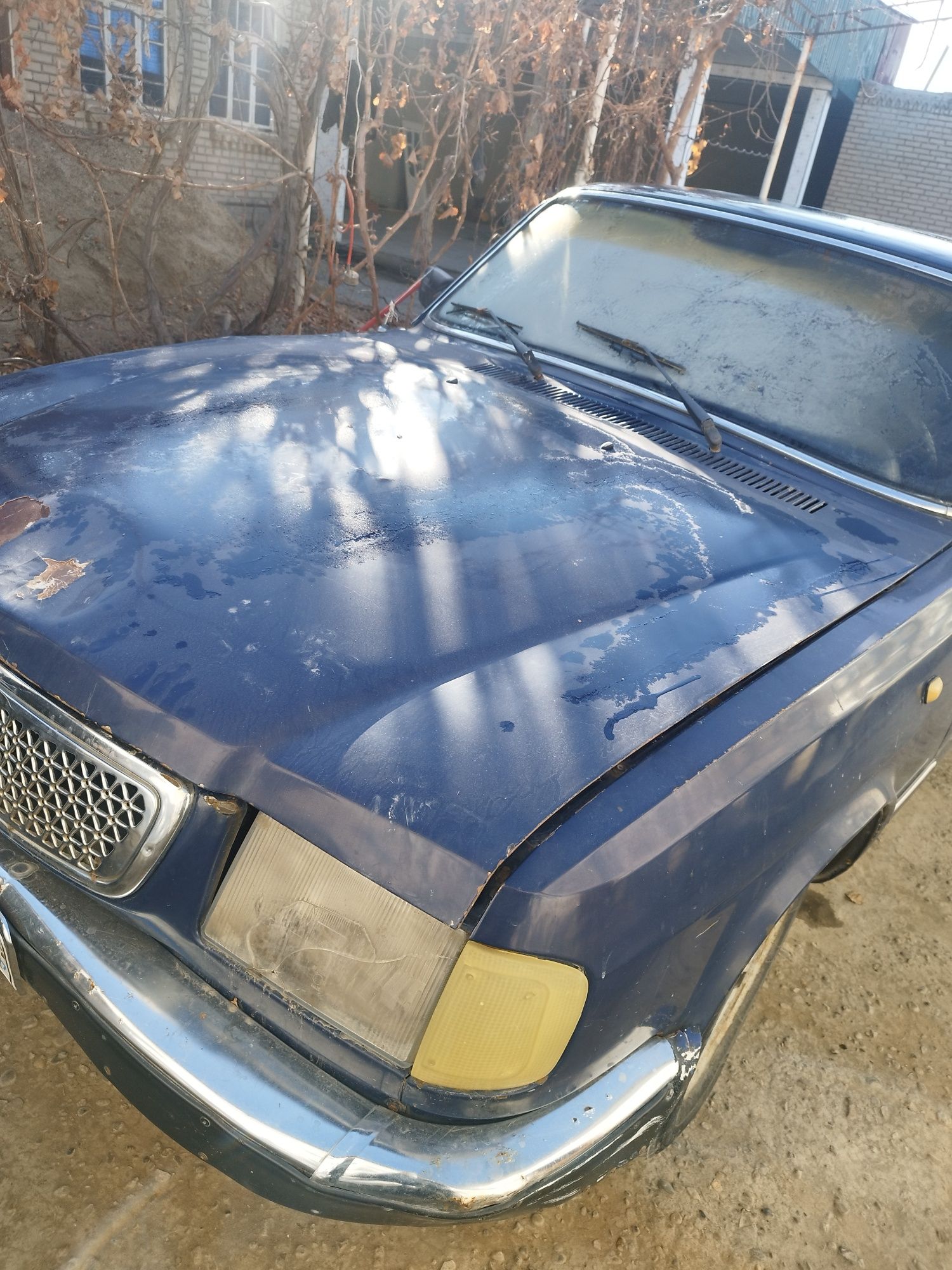 Volga 31 10 dizel