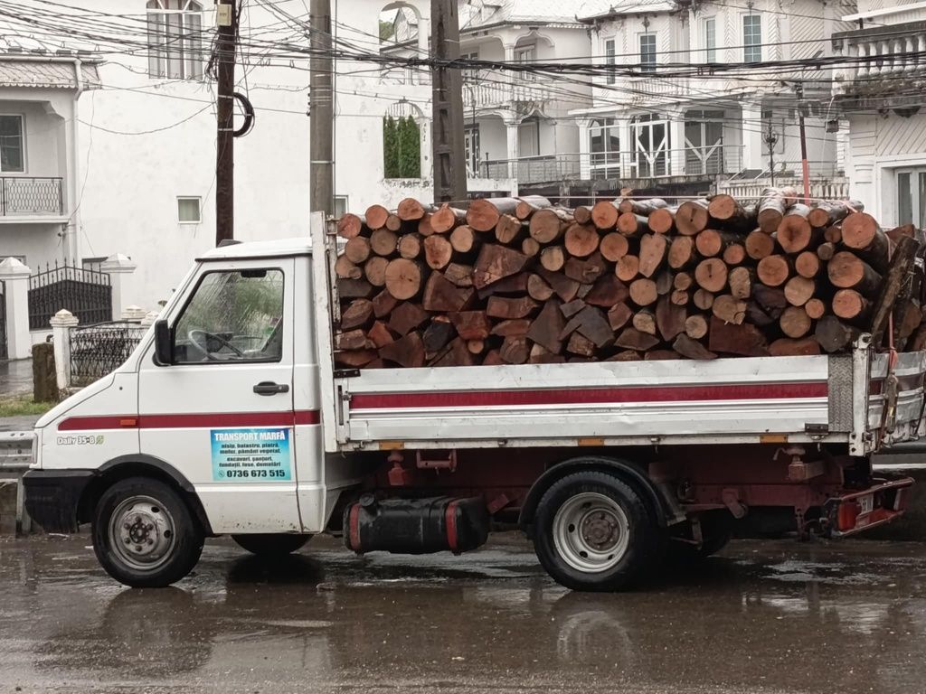 Vând Lemn de foc esență tare (fag)