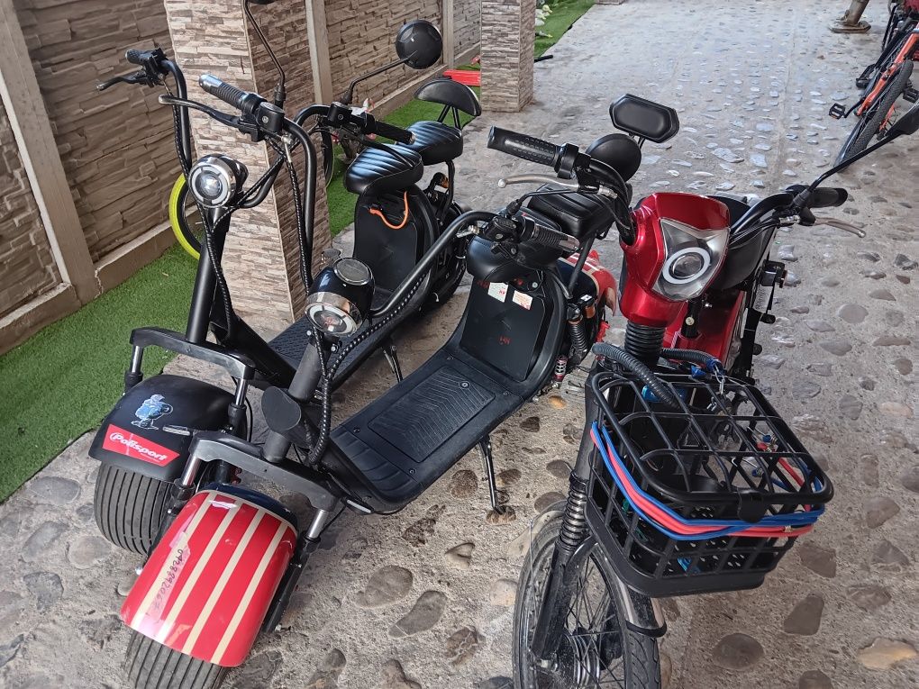 Servis trotinete electrice  scutere și biciclete electrice