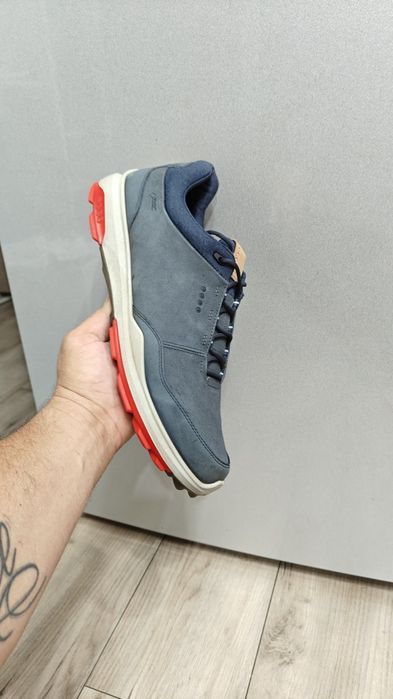 Ecco. Nr.   46..