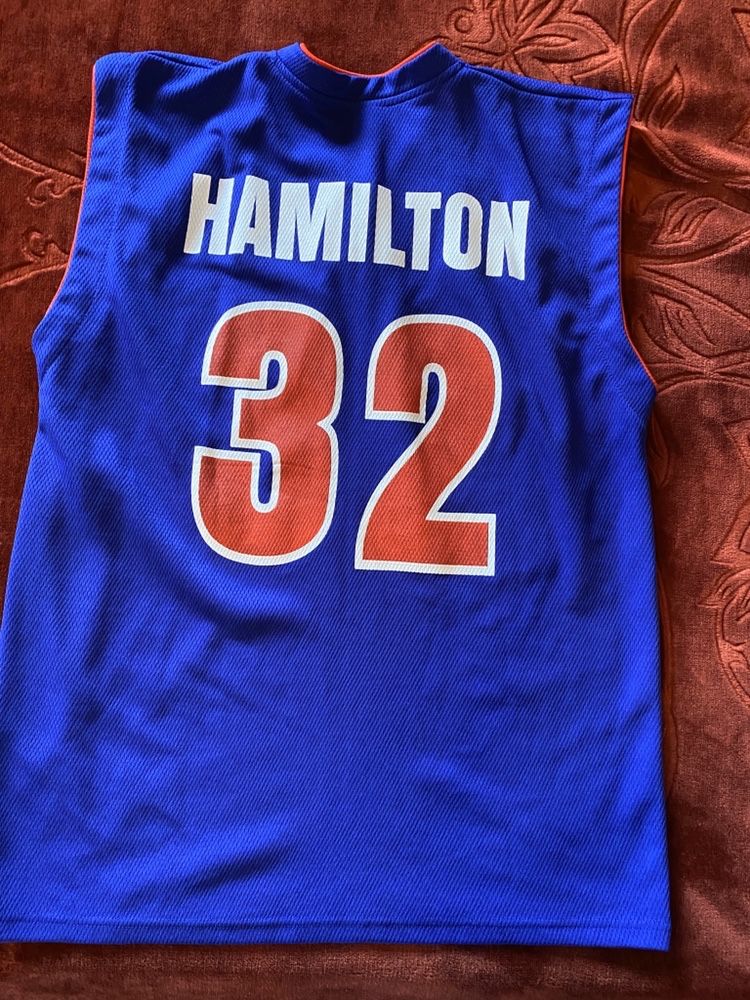 Maieu Hamilton Detroit Pistons.
