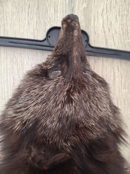 2 Gulere din blana naturala, vulpe si nutrie