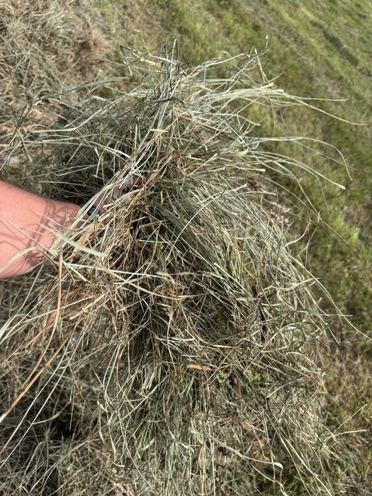 Vand baloti 120x120 fan / lucerna / otava