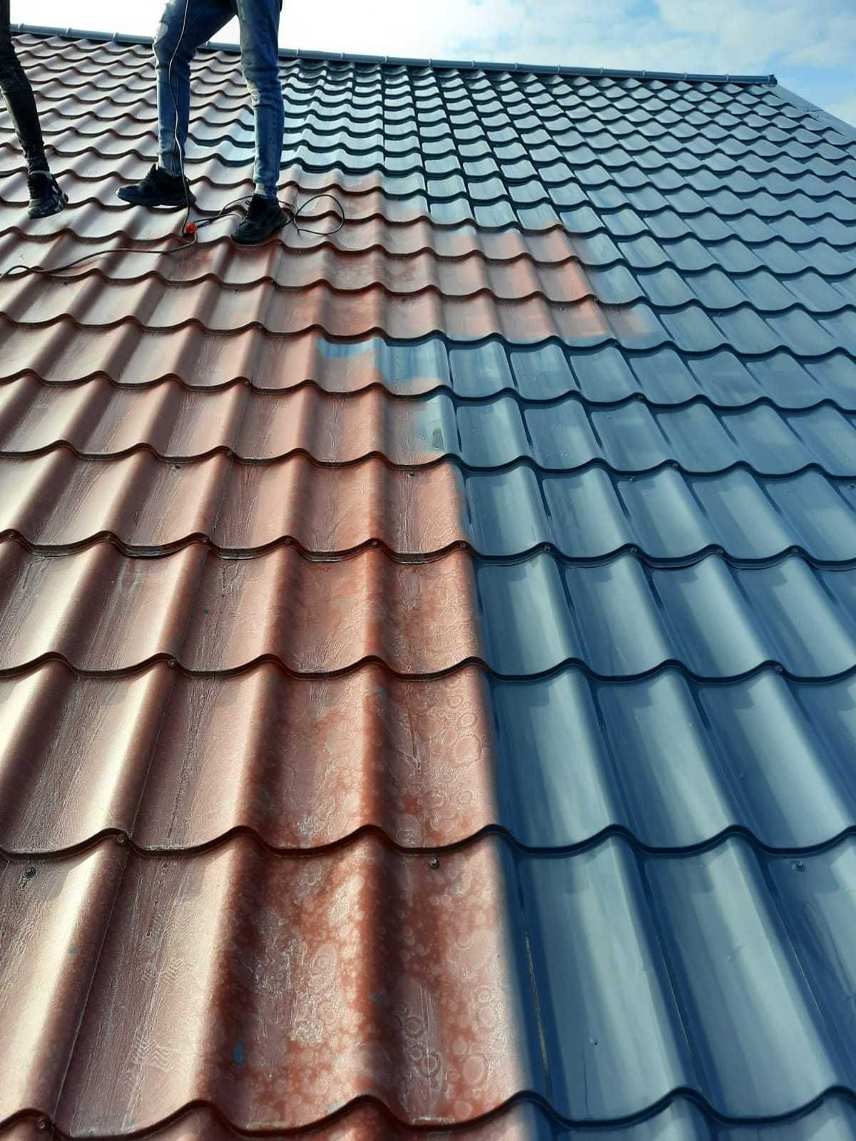 Vopsim orice tip de tabla pe casa, garduri, porti si alte suprafete