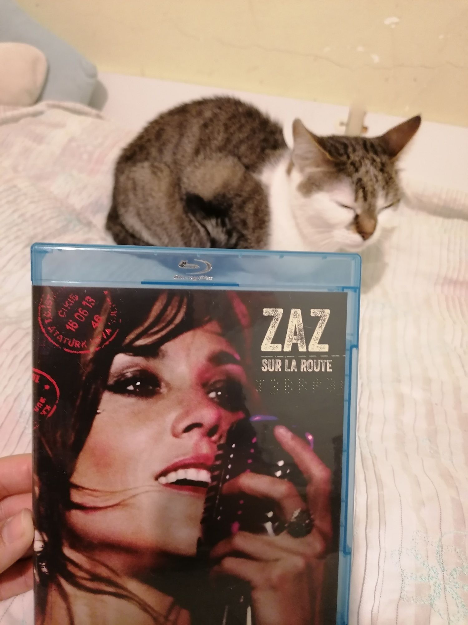 Zaz Sur la Route Blu Ray Disc