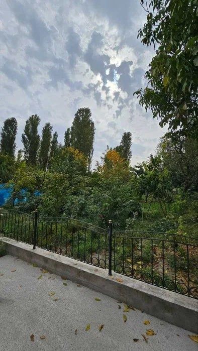 24 сотих ер участка сотилади Балыкчи қишлоғида (Янги Тошкент тумани).
