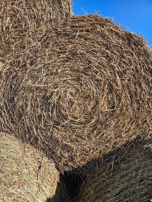 Фолирани бали от люцерна,    и ечемични рулонни бали