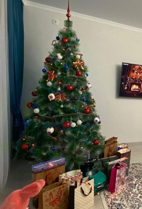 Продам елку! Высота 2,40