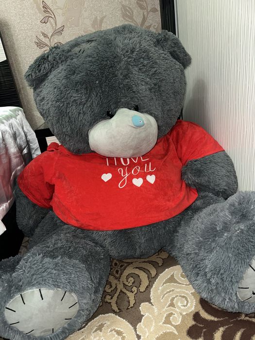 Teddy ayiq kottasi o