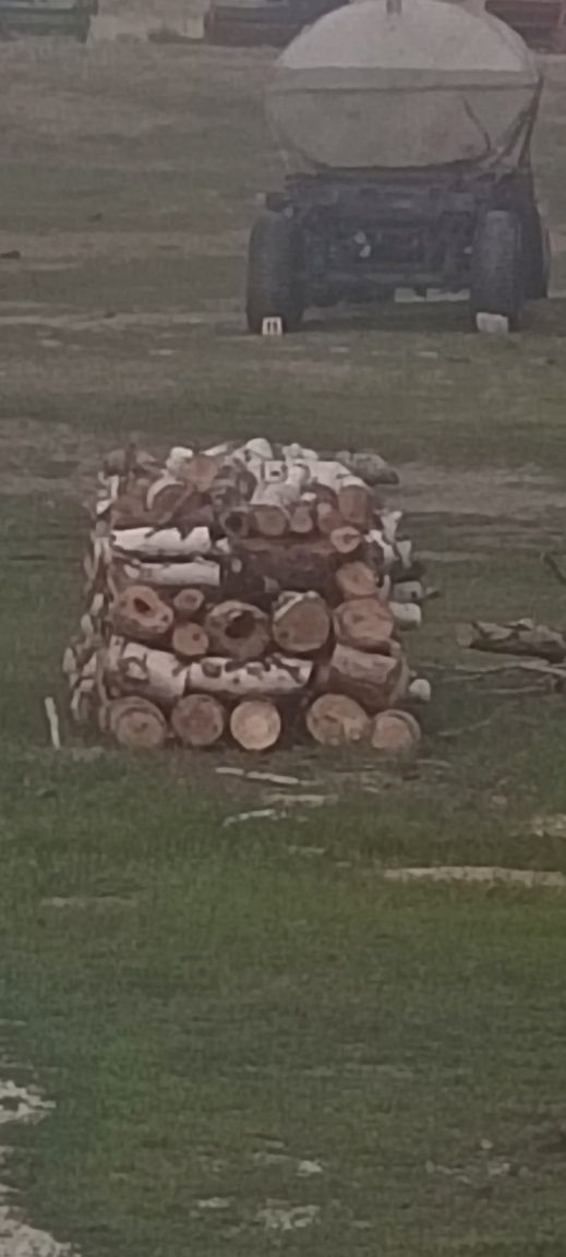 Берёза кругляк, дрова на продажу