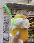 Gelato Bar Amalfi Lemon Sorbeto