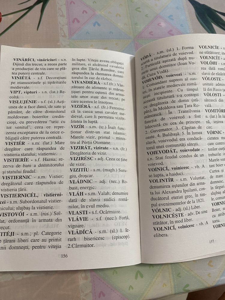 Dictionar de arhaisme și termeni istorici-Veronica Leoveanu Niță