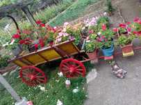 Каруца
