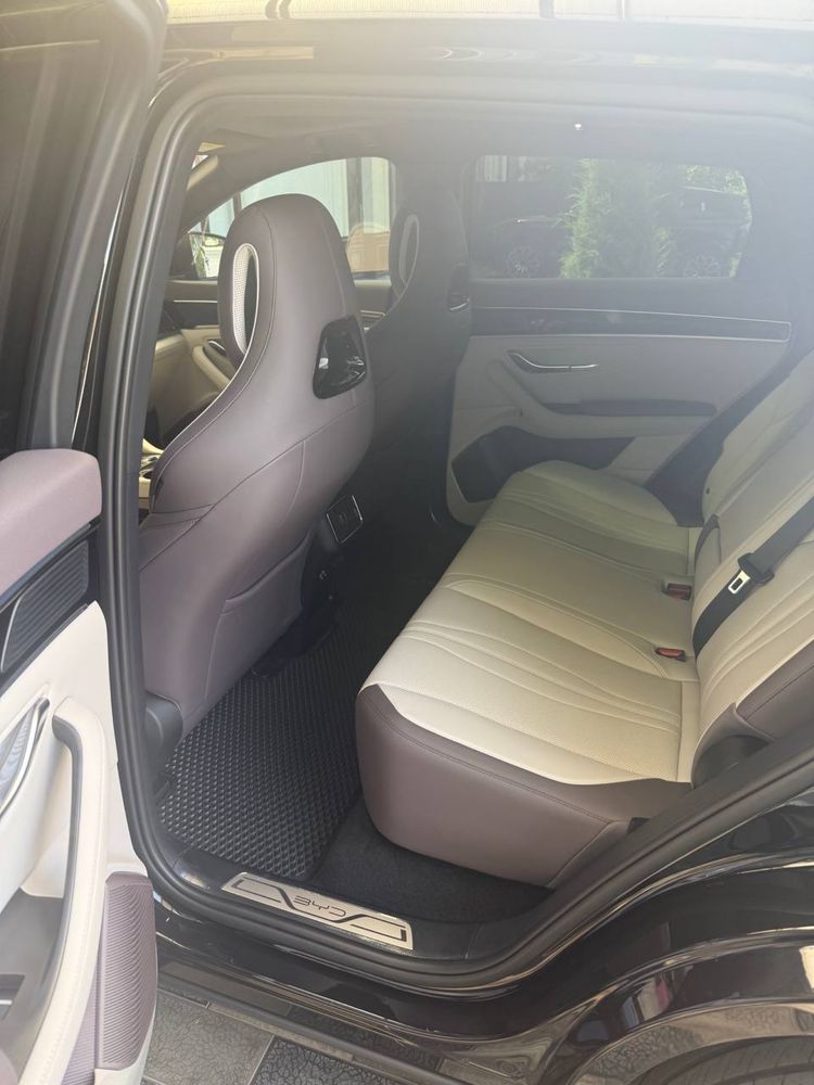 BYD Champion 2024/2025 Restyling