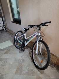 Vand bicicleta x-fact