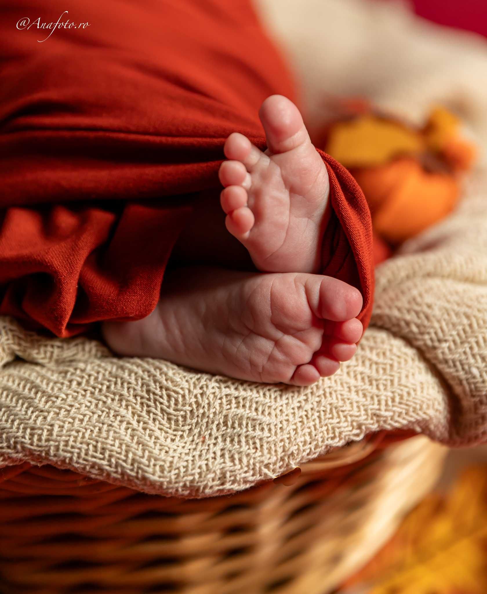 Sedinte foto nou nascuti si bebelusi, Bucuresti.