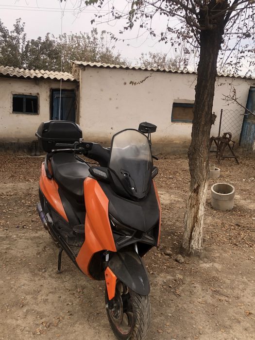 Макси Мопед